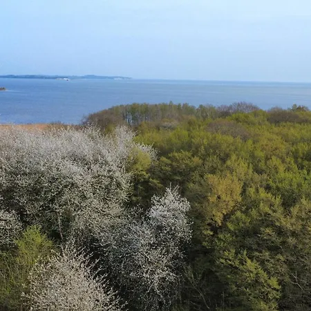 Im Kollhof - Ruhe Und Im Sueden Ruegens Putbus